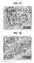 Fig. 46 - Methods of fabricating thin ferroelectric layers and capacitors having ferroelectric dielectric layers therein