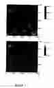 Fig. 02 - Method for significant reduction of dislocations for a very high A1 composition A1GaN layer