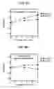 Fig. 07 - Method for forming impurity-introduced layer, method for cleaning object to be processed apparatus for introducing impurity and method for producing device