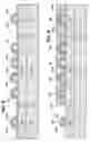 Fig. 05 - Method and apparatus for fabricating a memory device with a dielectric etch stop layer