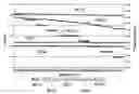 Fig. 01 - Deposition of tensile and compressive stressed materials