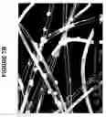 Fig. 12 - Nanofiber mats and production methods thereof