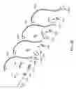 Fig. 06 - Articulating mobile