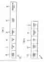 Fig. 03 - Storing and retrieving multimedia data and associated annotation data in mobile telephone system