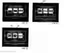 Fig. 07 - Gaming machine with wild symbol feature