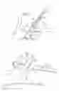 Fig. 04 - Golf swing training method