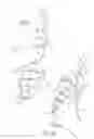 Fig. 06 - Golf swing training method