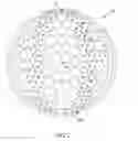 Fig. 03 - Golf ball dimple pattern