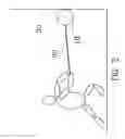 Fig. 06 - Hammer for physical exercises