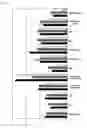 Fig. 10 - Lysophosphatidic acid receptor