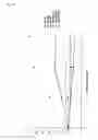 Fig. 18 - Lysophosphatidic acid receptor