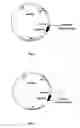 Fig. 02 - Antifungal bifunctional molecules, methods of construction and methods of treating fungal infection therewith