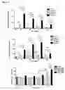 Fig. 03 - Treatment