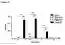 Fig. 04 - Treatment