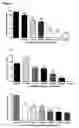 Fig. 08 - Treatment