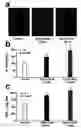 Fig. 01 - Elastin protective polyphenolics and methods of using the same