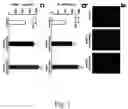 Fig. 02 - Elastin protective polyphenolics and methods of using the same