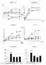 Fig. 07 - Cxcr4 antagonist and use thereof