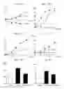 Fig. 08 - Cxcr4 antagonist and use thereof