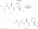 Fig. 40 - BIR domain binding compounds