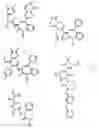Fig. 02 - Compounds and Methods for Promoting Angiogenesis