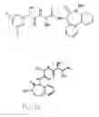 Fig. 06 - Compounds and Methods for Promoting Angiogenesis