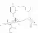 Fig. 31 - Morning glory-derived anticancer agents, and novel ipomoeassin compounds