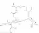 Fig. 33 - Morning glory-derived anticancer agents, and novel ipomoeassin compounds