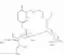 Fig. 35 - Morning glory-derived anticancer agents, and novel ipomoeassin compounds