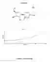 Fig. 09 - Compositions and methods for treatment for neoplasms