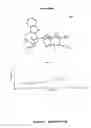 Fig. 96 - Compositions and methods for treatment for neoplasms