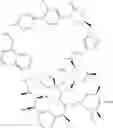 Fig. 443 - Bifunctional heterocyclic compounds and methods of making and using same