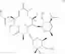 Fig. 61 - Macrolides