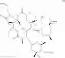 Fig. 63 - Macrolides