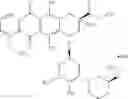 Fig. 02 - Method for treating liver cancer by intrahepatic administration of nemorubicin
