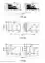 Fig. 07 - Methods for evaluating genetic susceptibility and therapy for chronic inflammatory diseases