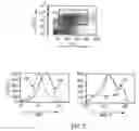 Fig. 09 - Methods for evaluating genetic susceptibility and therapy for chronic inflammatory diseases