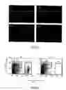 Fig. 10 - Methods for evaluating genetic susceptibility and therapy for chronic inflammatory diseases