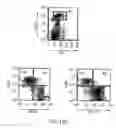 Fig. 15 - Methods for evaluating genetic susceptibility and therapy for chronic inflammatory diseases