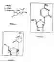 Fig. 02 - Compositions and methods for targeting cancer cells