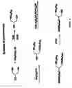 Fig. 03 - Compositions and methods for targeting cancer cells