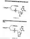 Fig. 06 - Compositions and methods for targeting cancer cells