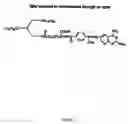 Fig. 08 - Compositions and methods for targeting cancer cells