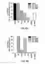 Fig. 06 - Purinergic modulation of smell