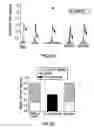 Fig. 11 - Purinergic modulation of smell