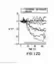 Fig. 22 - Purinergic modulation of smell