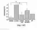 Fig. 24 - Purinergic modulation of smell