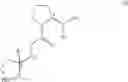 Fig. 30 - Methyl and ethyl substituted pyrrolidine compounds and methods for selective inhibition of dipeptidyl peptidase-IV