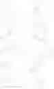Fig. 266 - Therapeutic phosphonate compounds