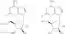 Fig. 435 - Therapeutic phosphonate compounds